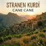 Stranen Kurdi