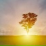 Ambientalism, Yoga Namaste, Spa Relaxation