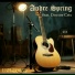 Andre Spring