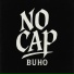 Buho