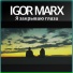Igor Marx