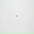 SKVERNA, psh3n1ca