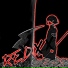 swockkk
