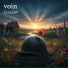 voin