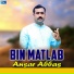 Ansar Abbas