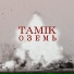 TAMIK