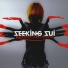 Seeking Sui