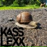 Kass Lexx