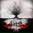 ANRISE