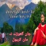 Javid Poonchi