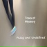 Trees of Mystery