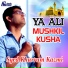 Syed Khurram Kazmi