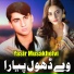 Yasir Musakhelvi