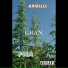 Ariellll feat. PNA