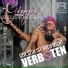 Ginger Costello-Wollersheim
