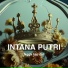 intana putri