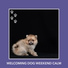 Dog Chill Out Music