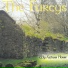 The Fureys