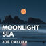 Joe Callier