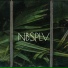 NBSPLV