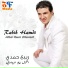 Rabih Hamdi
