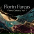 Florin Farcas