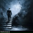 TREVOGII