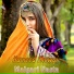 Hameed Showqi