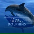 Gille