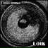 Loik