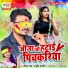 Shivam Raj, Shrishti Bharti