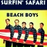 Beach Boys, The