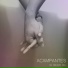 Acampantes