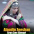 Alaudin Zeeshan