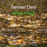 Senaet Deci
