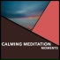 Reiki Collective, Reiki Warmth, Reiki Zen Music