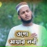 Bayzid Amin Sayem