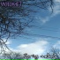 Wildmet