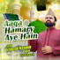 Syed Zabeeb Masood Shah Bukhari