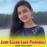 Vikash Meena Jhareda