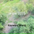 Keyword World