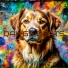 DaverRaver