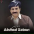 Ahmad Zebari