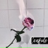 phløw