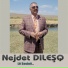 Nejdet Dıleşq