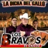 Los Bravos De Sinaloa