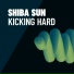 Shiba Sun