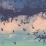 Notation
