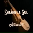 Shahnela Gul