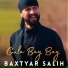 Baxtyar Salih